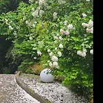 Pensionat The Ortensia, Our With View, Spacious Park-facing Balcony And Private External Bathroom At The Isabella Stresa