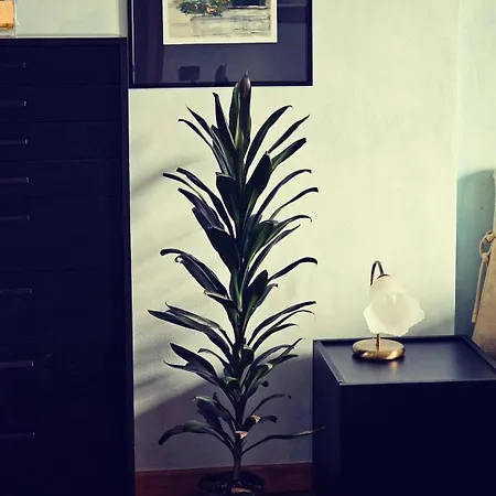 Guest house Isabella: Lakefront With Park View Balcony 3*