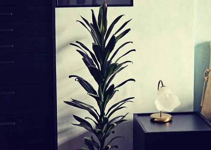 Pensión The Ortensia, Our With View, Spacious Park-facing Balcony And Private External Bathroom At The Isabella 3*