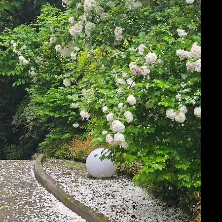 Maison d'hôtes The Ortensia, Our With View, Spacious Park-facing Balcony And Private External Bathroom At The Isabella Stresa