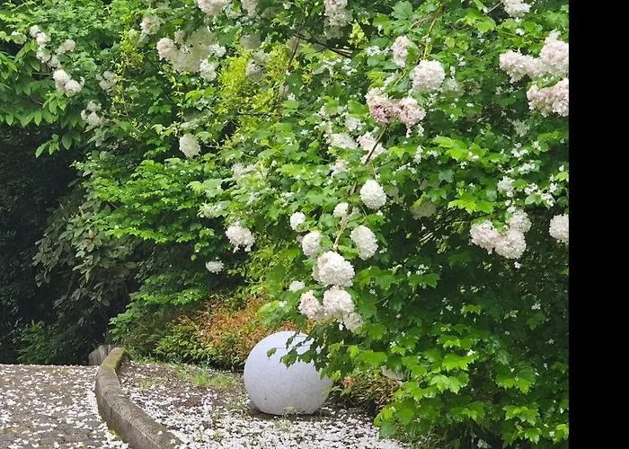 ゲストハウス The Ortensia, Our With View, Spacious Park-facing Balcony And Private External Bathroom At The Isabella ストレーザ